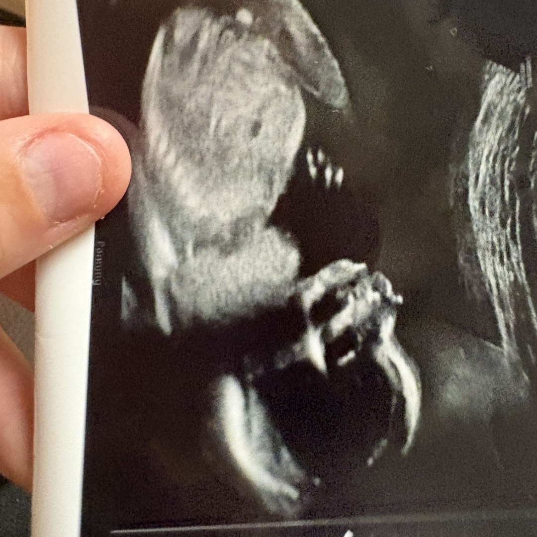 Photo shared by Savana for their Babylist baby registry.