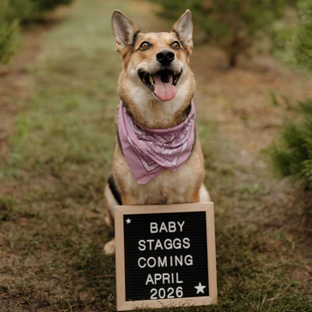 Photo shared by Courtney for their Babylist baby registry.