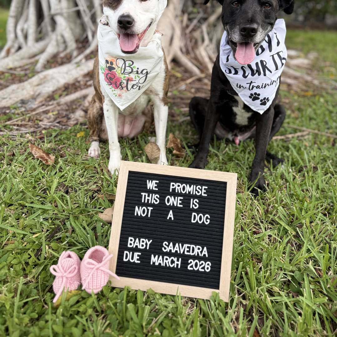 Photo shared by Alonso & Kristen for their Babylist baby registry.