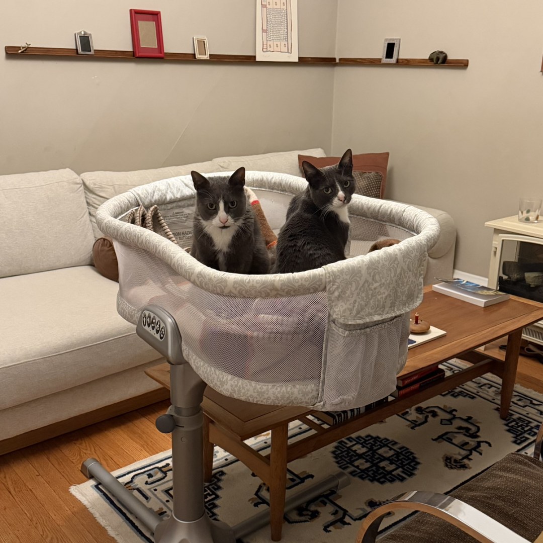 Photo shared by Monica for their Babylist baby registry.