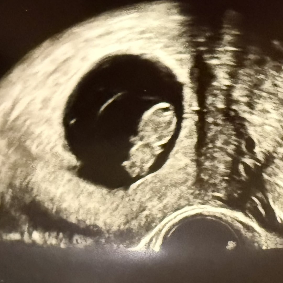 Photo shared by Courtney for their Babylist baby registry.