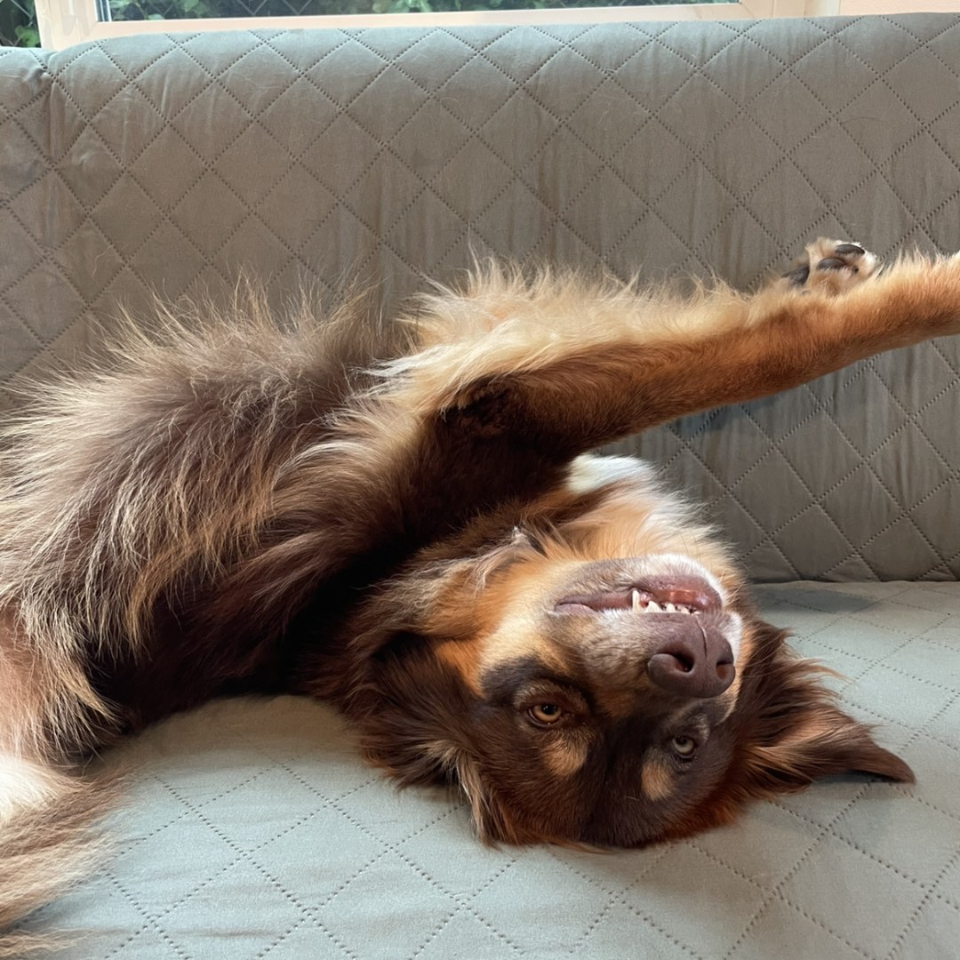 Photo shared by Nicole for their Babylist baby registry.