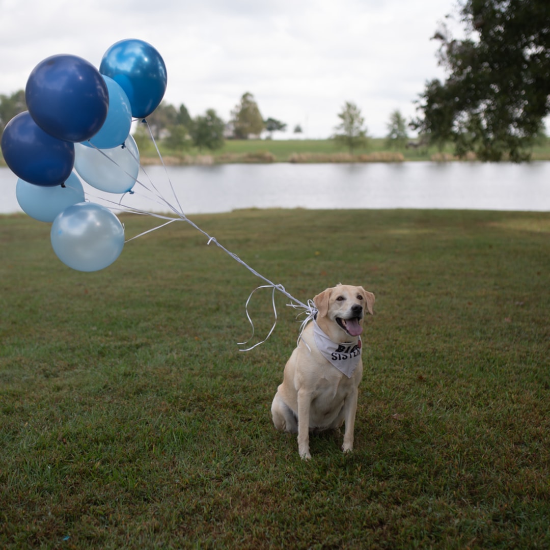 Photo shared by Haylee for their Babylist baby registry.