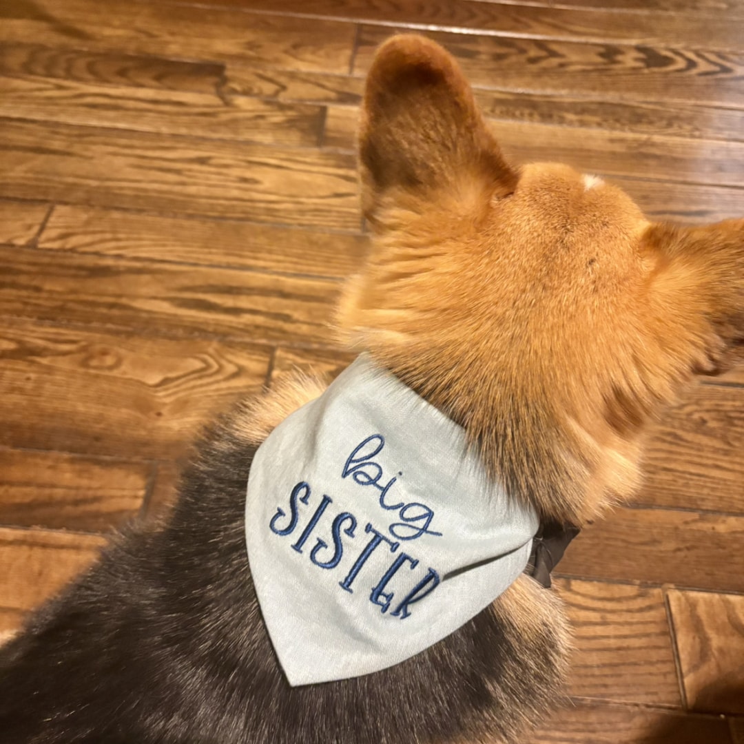 Photo shared by Alison for their Babylist baby registry.