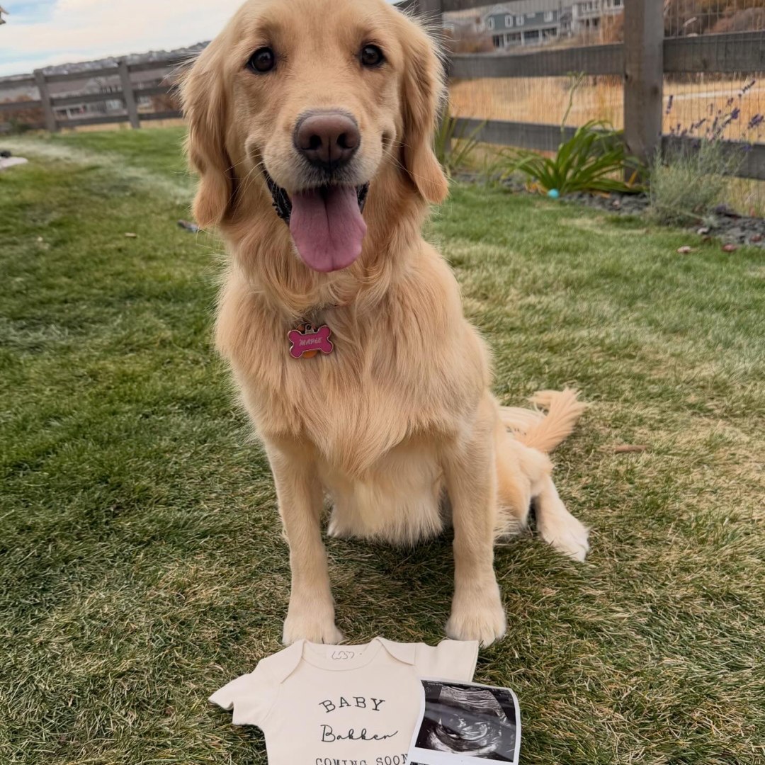 Photo shared by Alyssa for their Babylist baby registry.