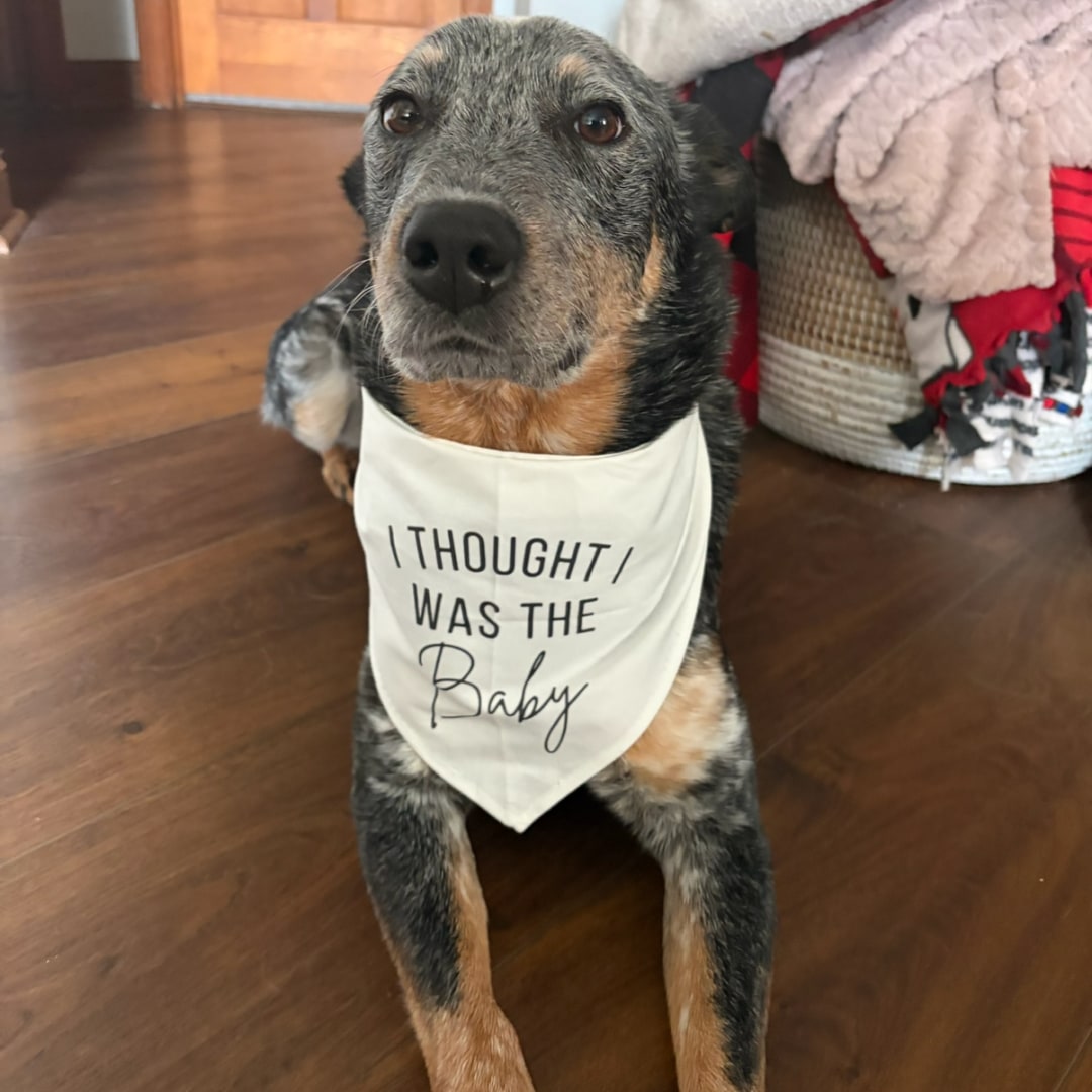 Photo shared by Emma for their Babylist baby registry.