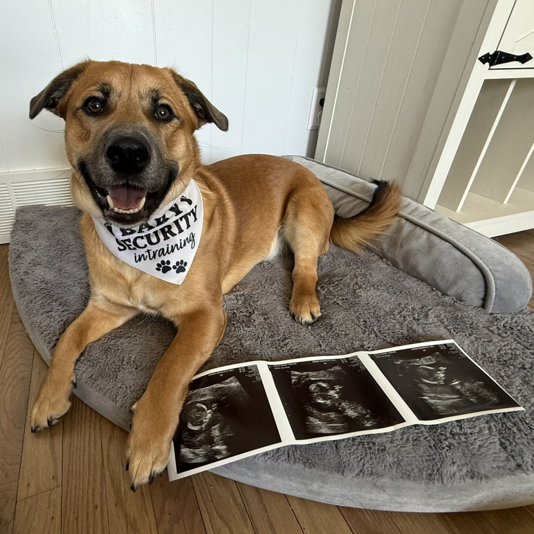 Photo shared by Bridget for their Babylist baby registry.