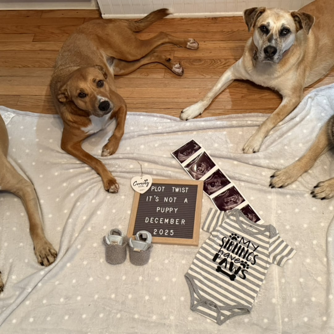Photo shared by Cassidy for their Babylist baby registry.