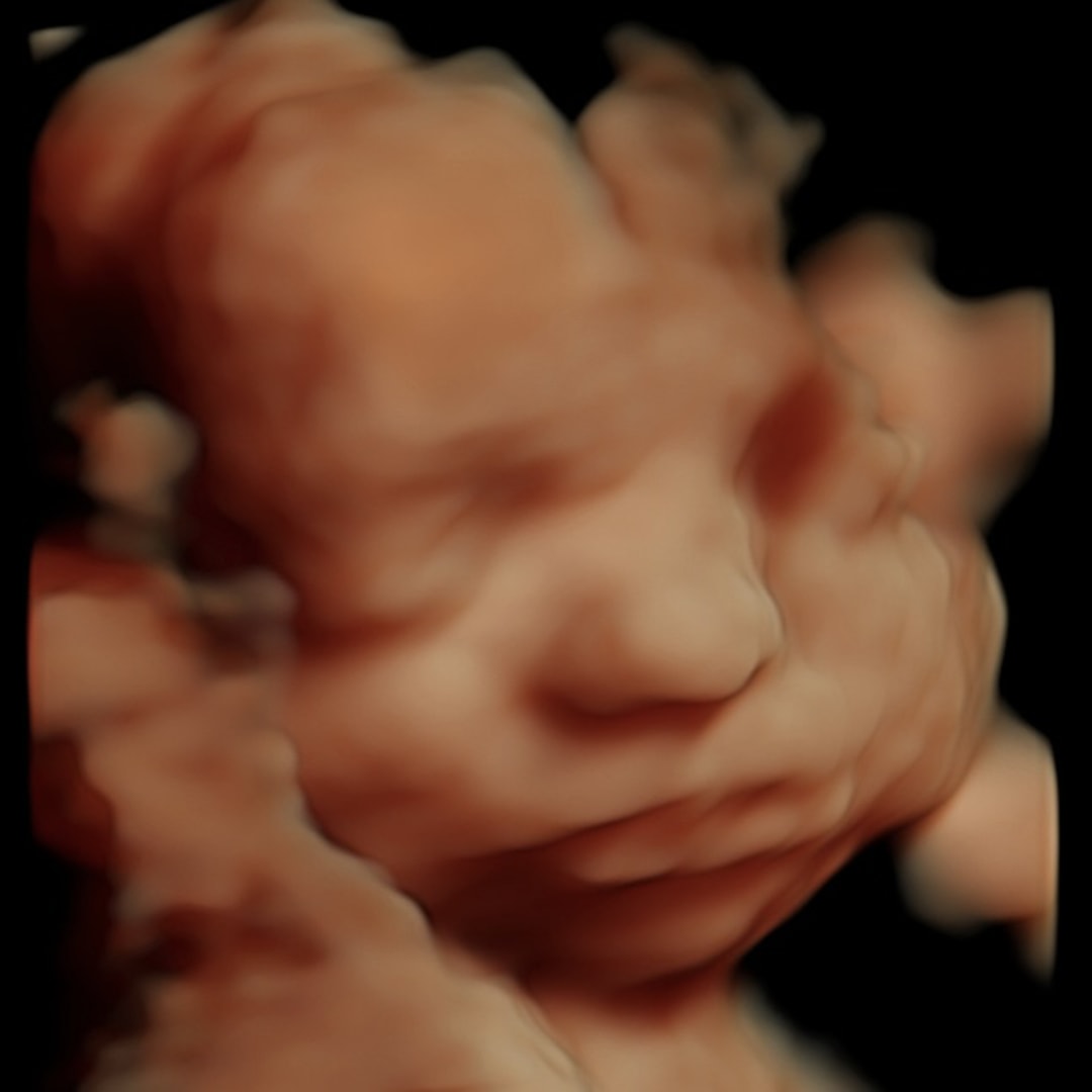 Photo shared by Julia for their Babylist baby registry.