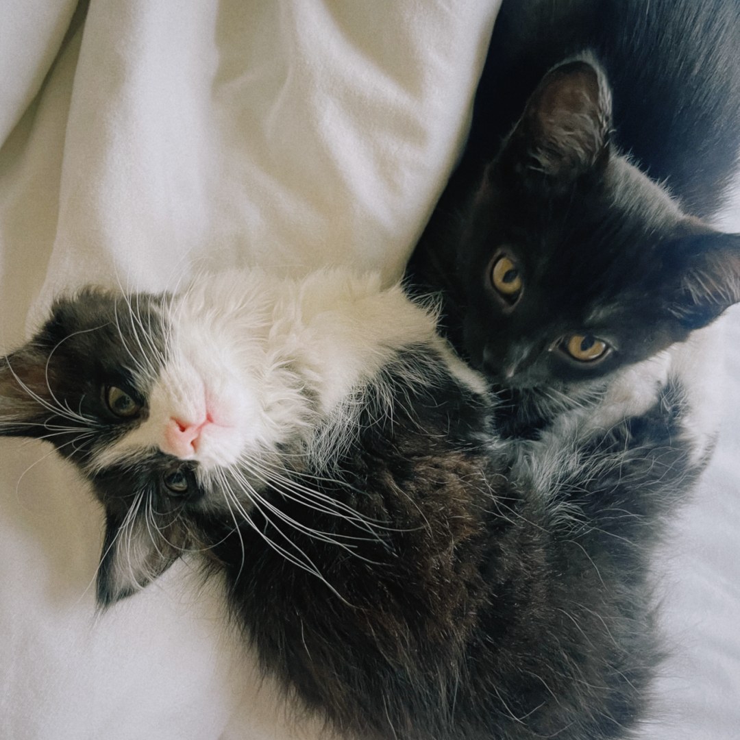 Photo shared by Emma for their Babylist baby registry.