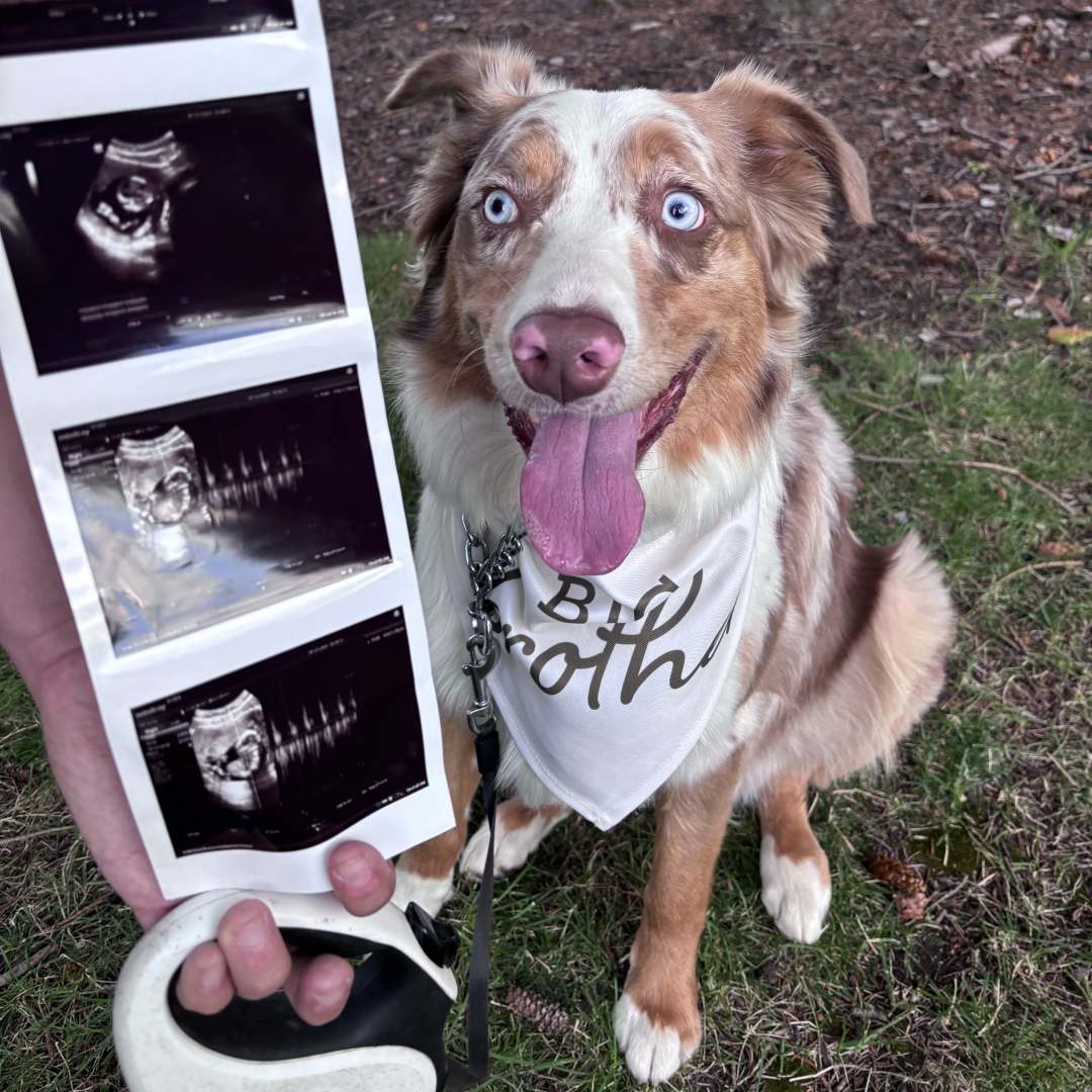 Photo shared by Krizia for their Babylist baby registry.