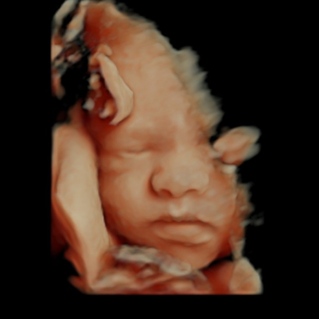 Photo shared by Aousharay for their Babylist baby registry.