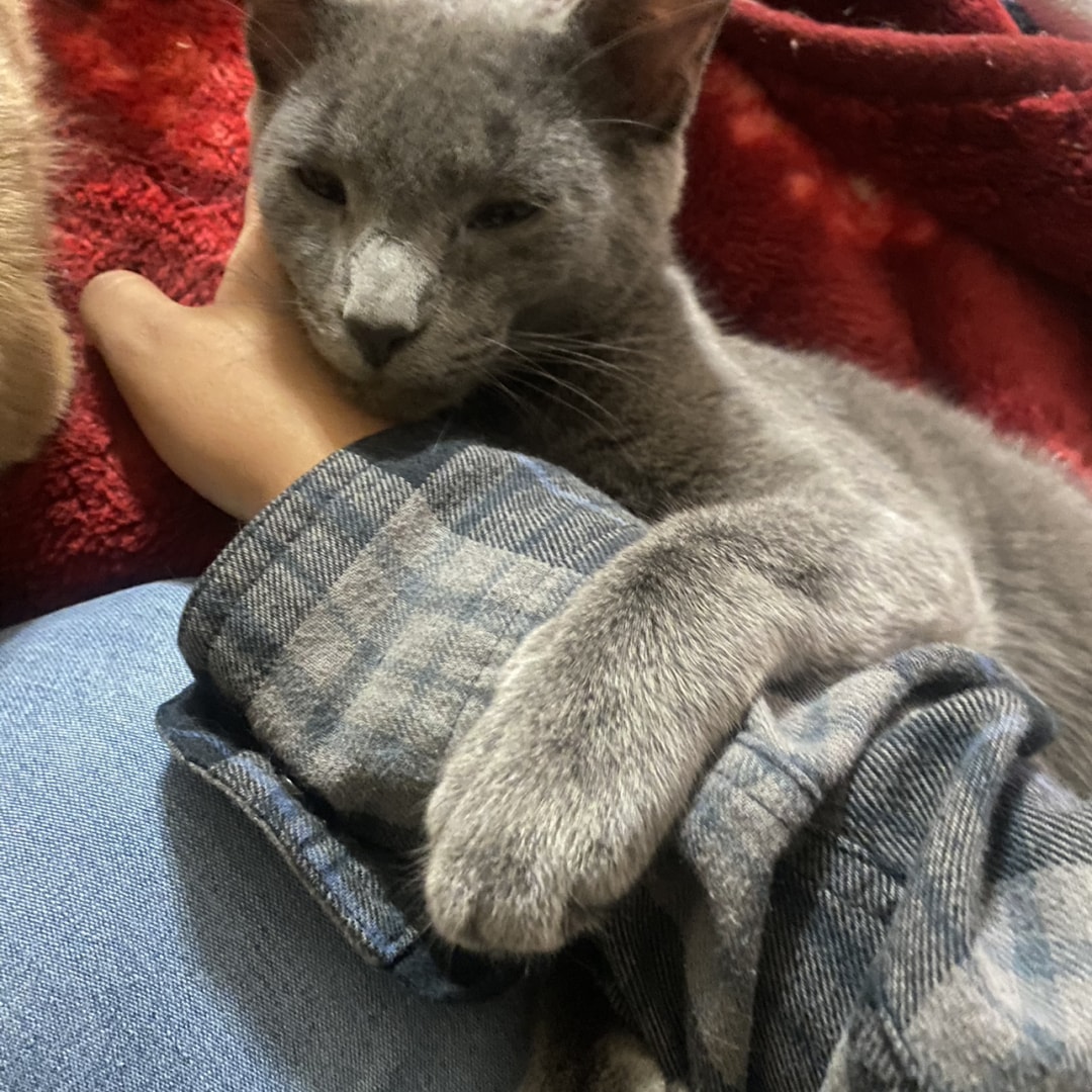 Photo shared by Amber for their Babylist baby registry.