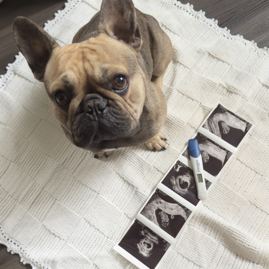 Photo shared by Tracy for their Babylist baby registry.