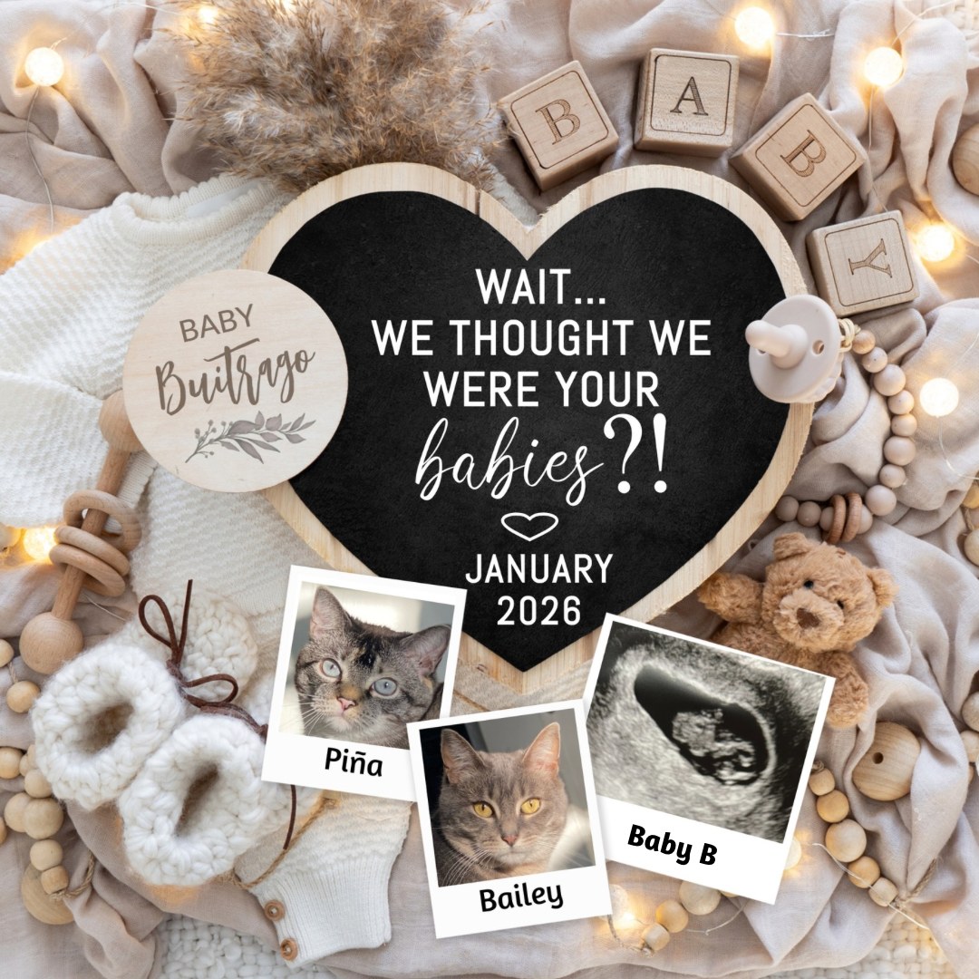 Photo shared by Courtney for their Babylist baby registry.