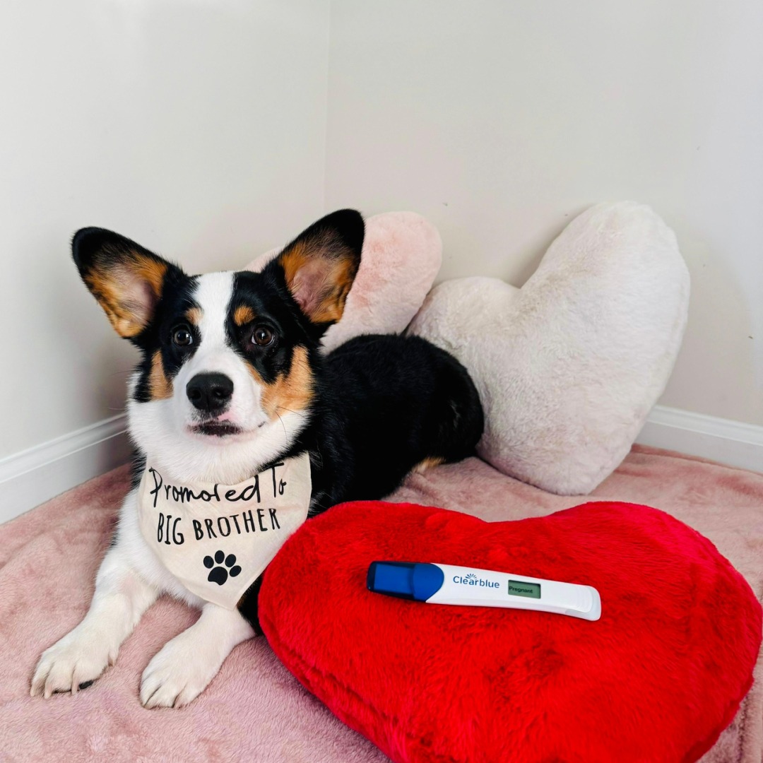 Photo shared by Jessica for their Babylist baby registry.