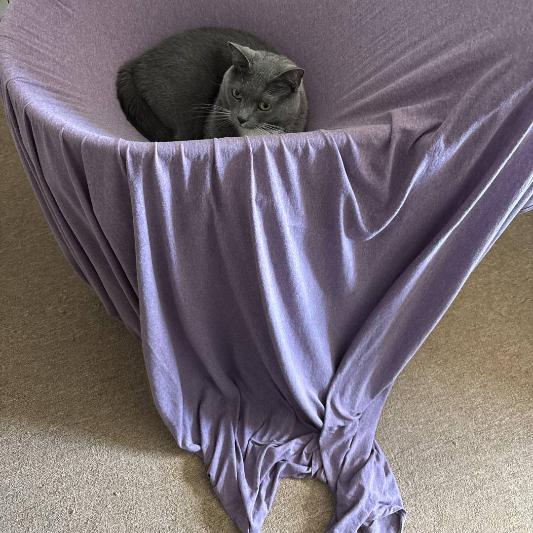 Photo shared by Kaitlyn for their Babylist baby registry.