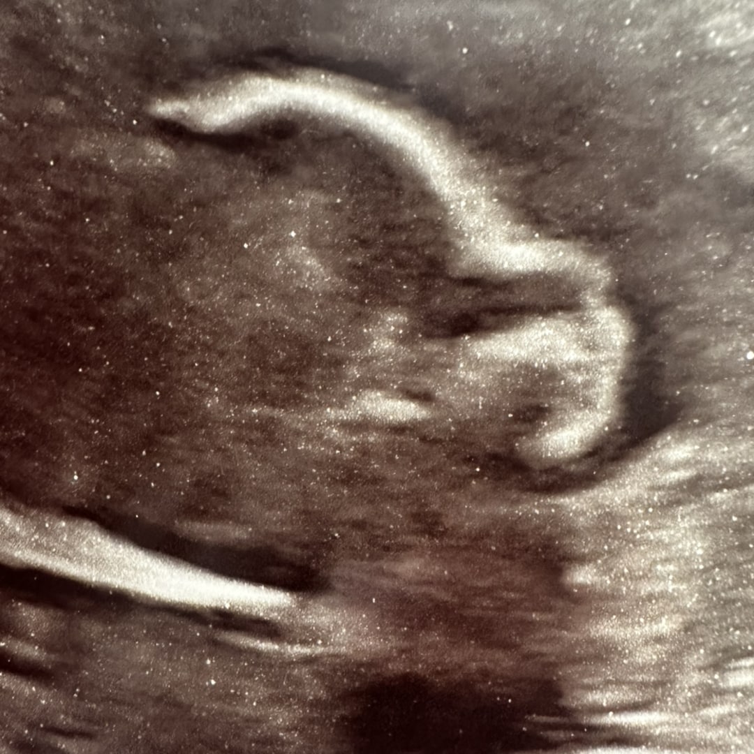 Photo shared by Gina for their Babylist baby registry.
