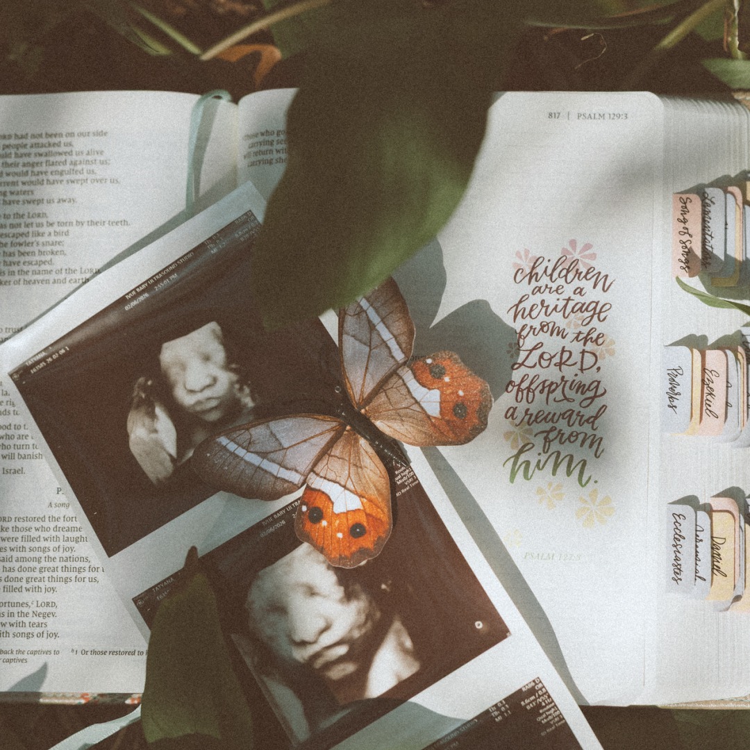 Photo shared by Tatyana for their Babylist baby registry.