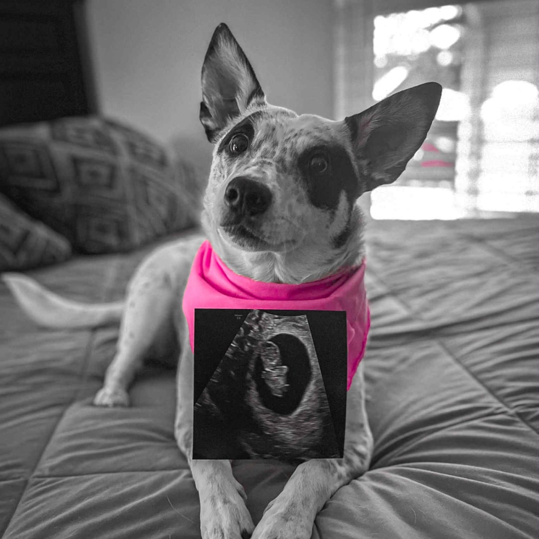 Photo shared by Ivy for their Babylist baby registry.