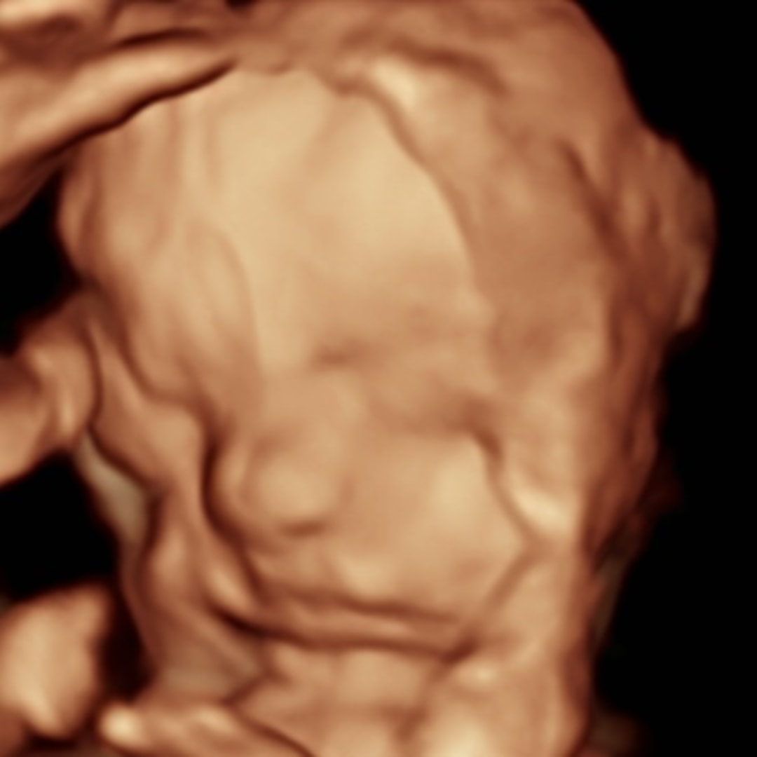 Photo shared by Kalee for their Babylist baby registry.