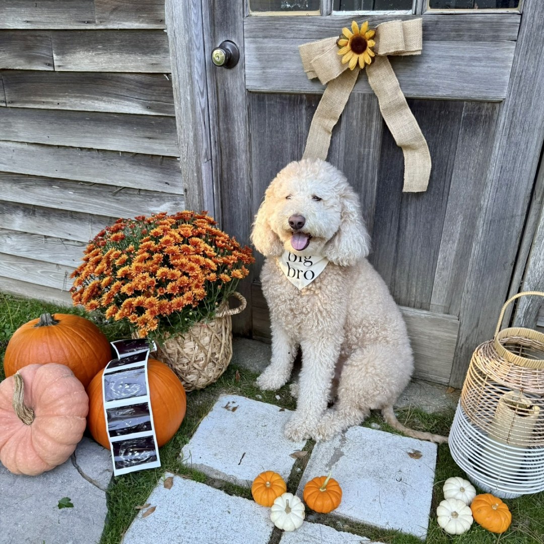 Photo shared by Brooke for their Babylist baby registry.