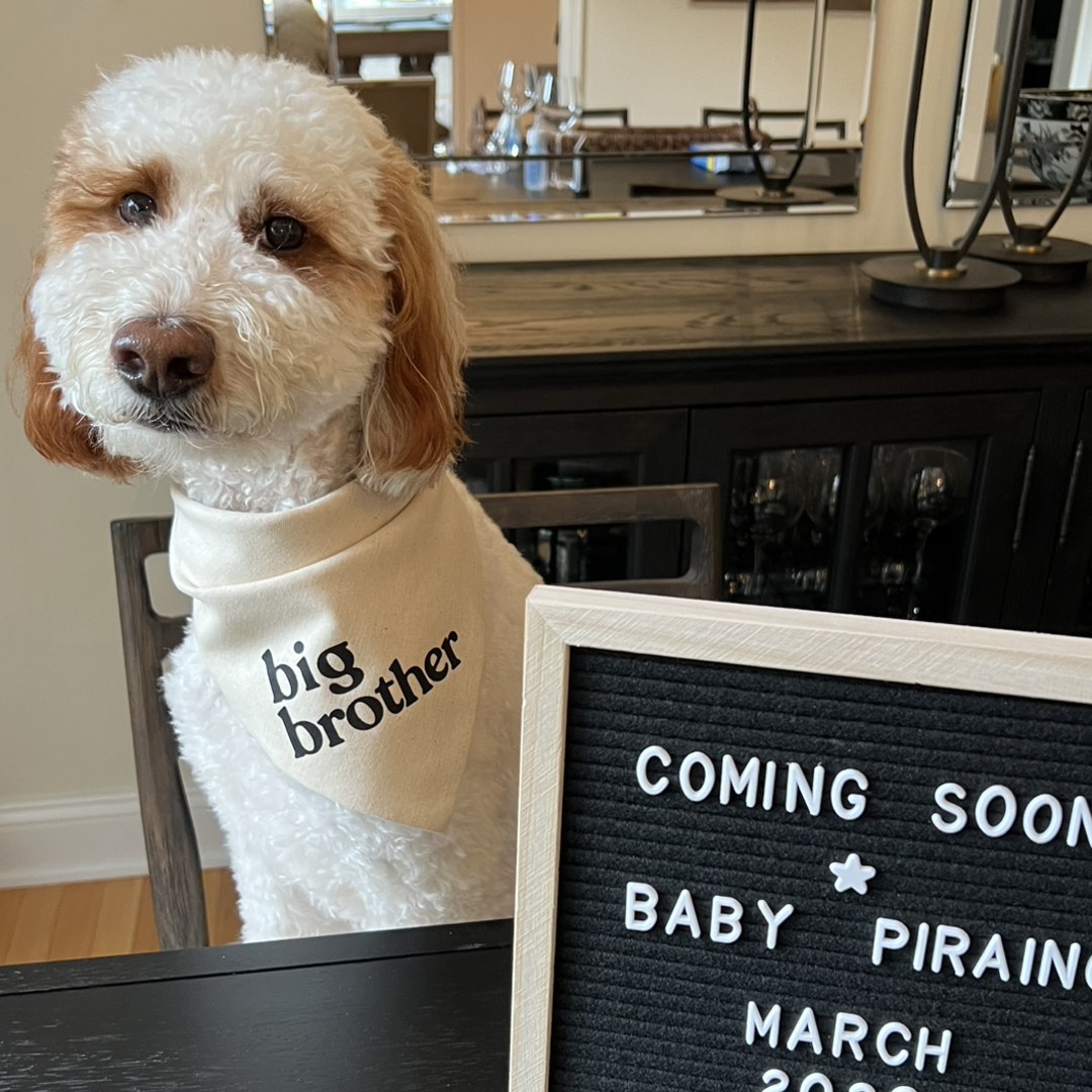 Photo shared by Alexa for their Babylist baby registry.