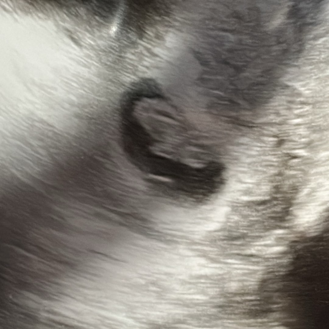 Photo shared by Abrina for their Babylist baby registry.