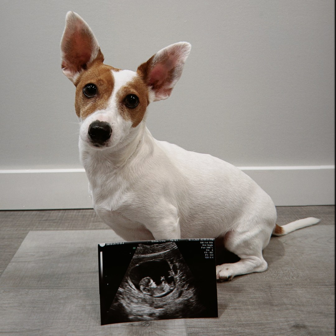 Photo shared by Victoria for their Babylist baby registry.