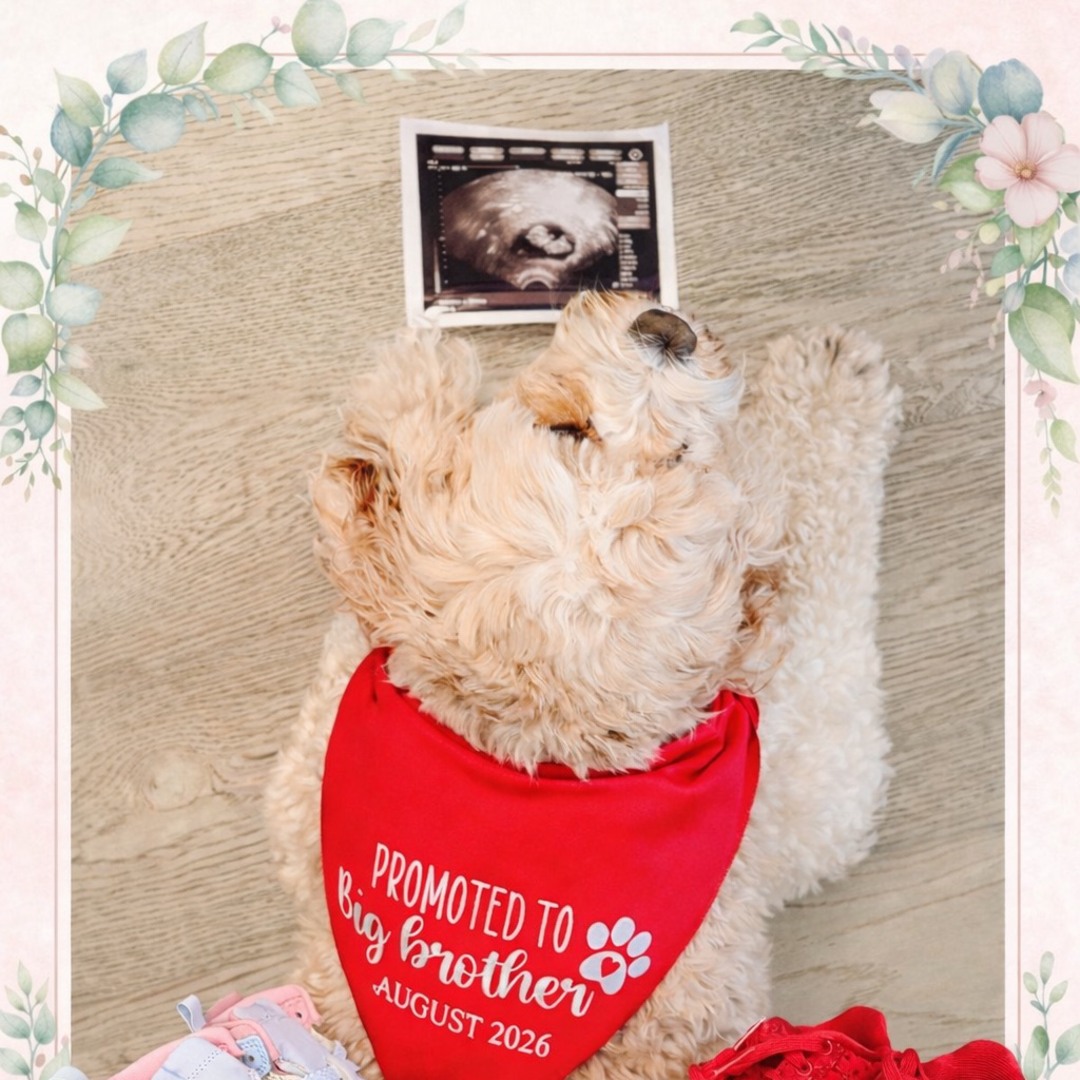 Photo shared by Roshanak for their Babylist baby registry.