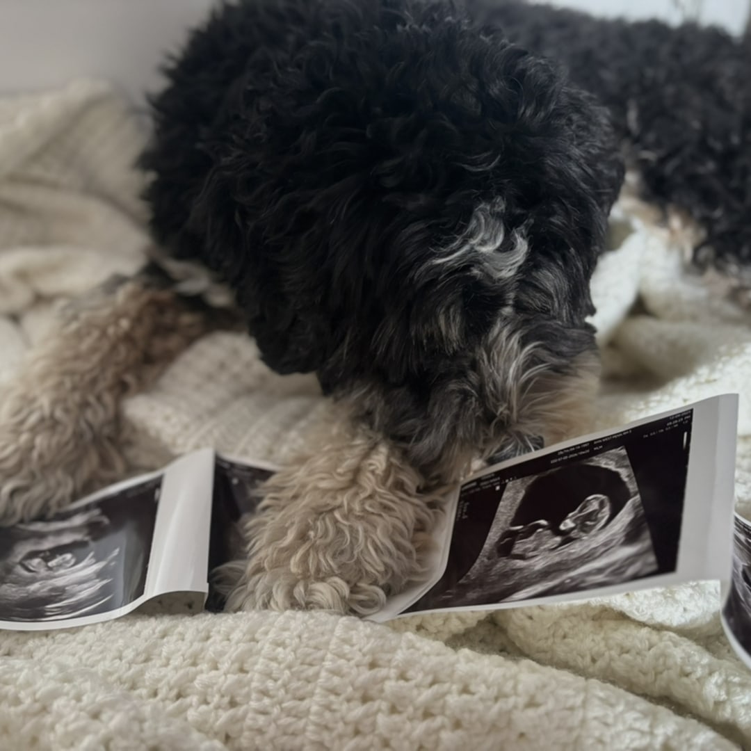Photo shared by Nina for their Babylist baby registry.