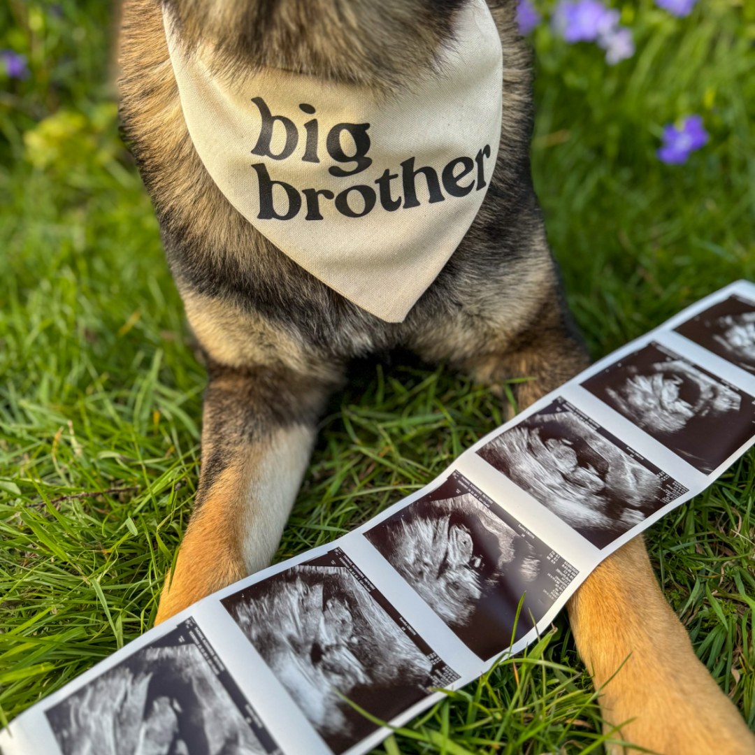 Photo shared by Alexandra for their Babylist baby registry.
