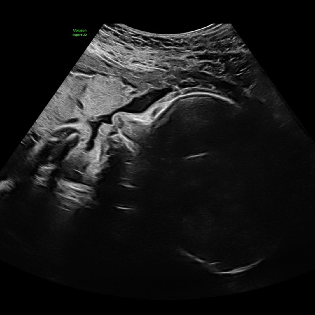 Photo shared by Estrella for their Babylist baby registry.