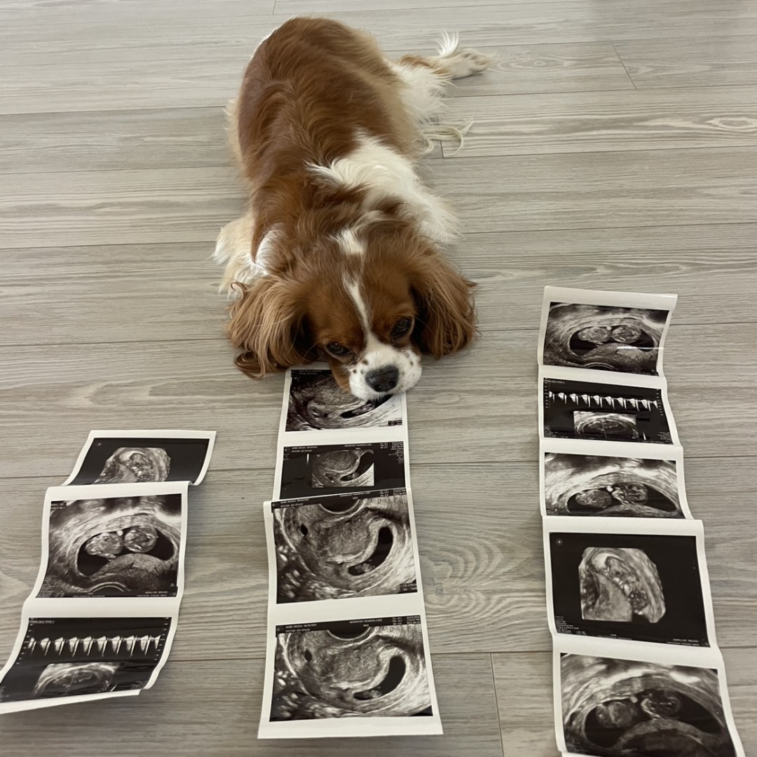 Photo shared by Nicole for their Babylist baby registry.
