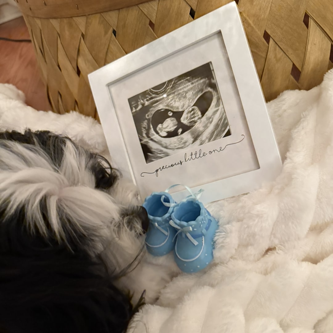 Photo shared by Arianna for their Babylist baby registry.