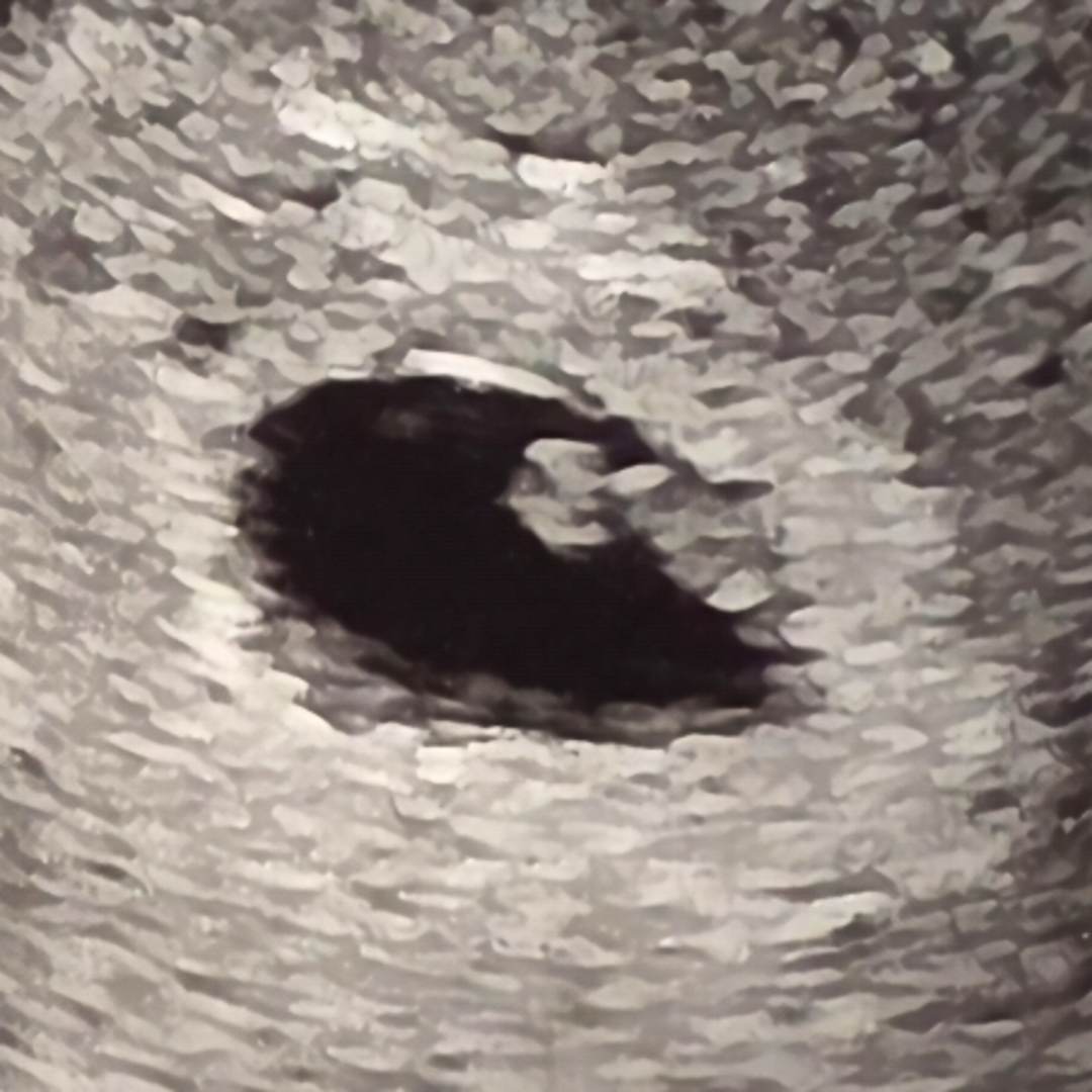 Photo shared by Cindy for their Babylist baby registry.