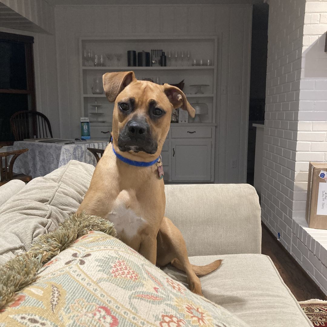 Photo shared by Tiffany for their Babylist baby registry.