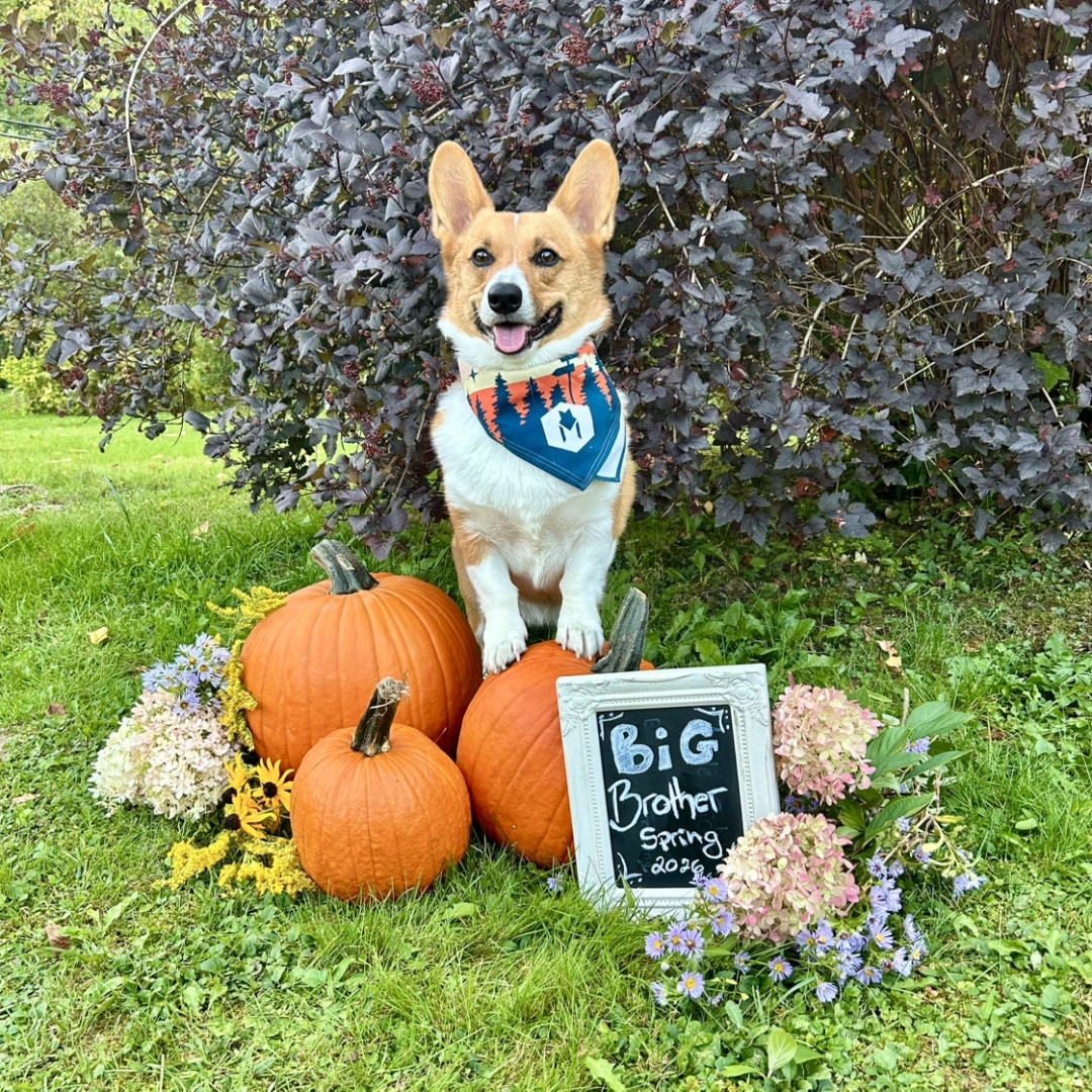 Photo shared by Taylor for their Babylist baby registry.