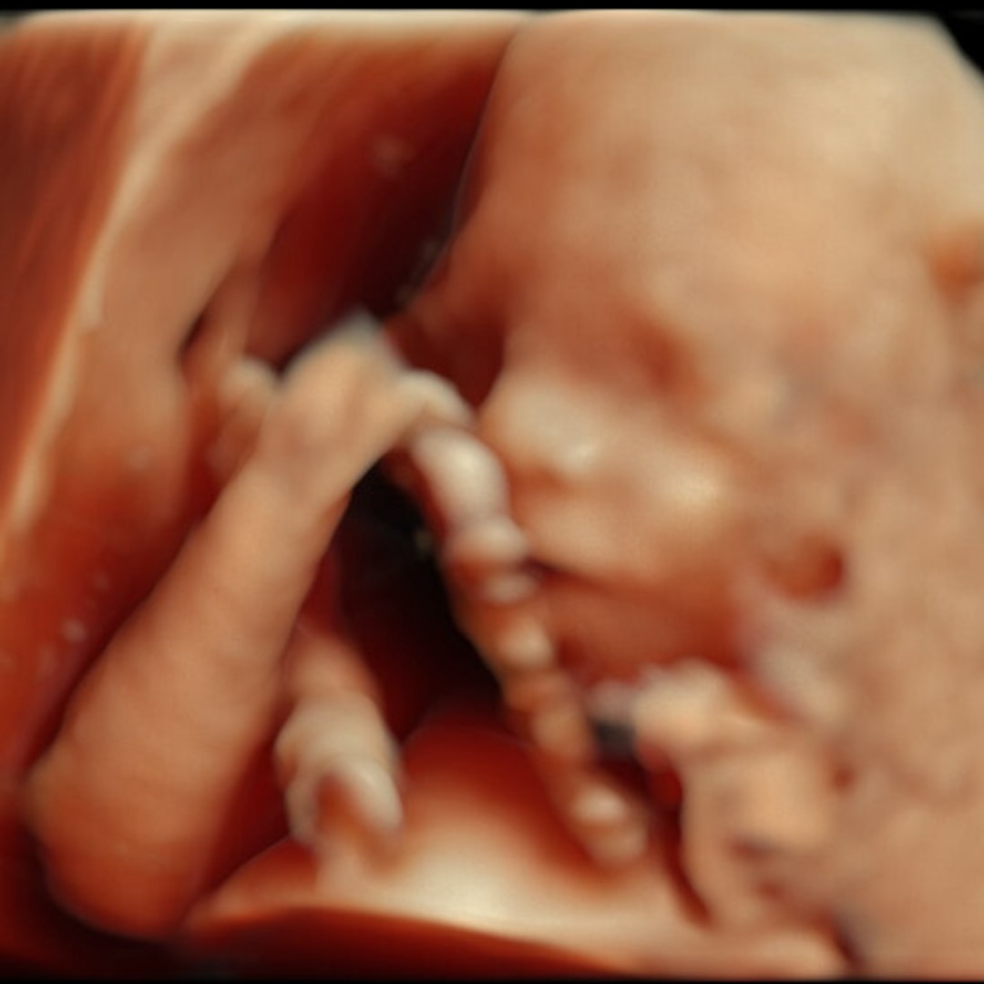 Photo shared by Abigail for their Babylist baby registry.
