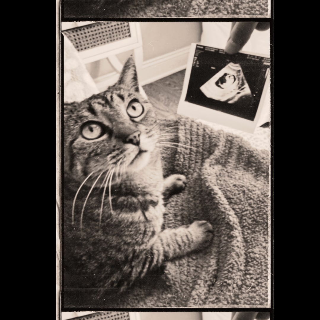 Photo shared by Michaela for their Babylist baby registry.