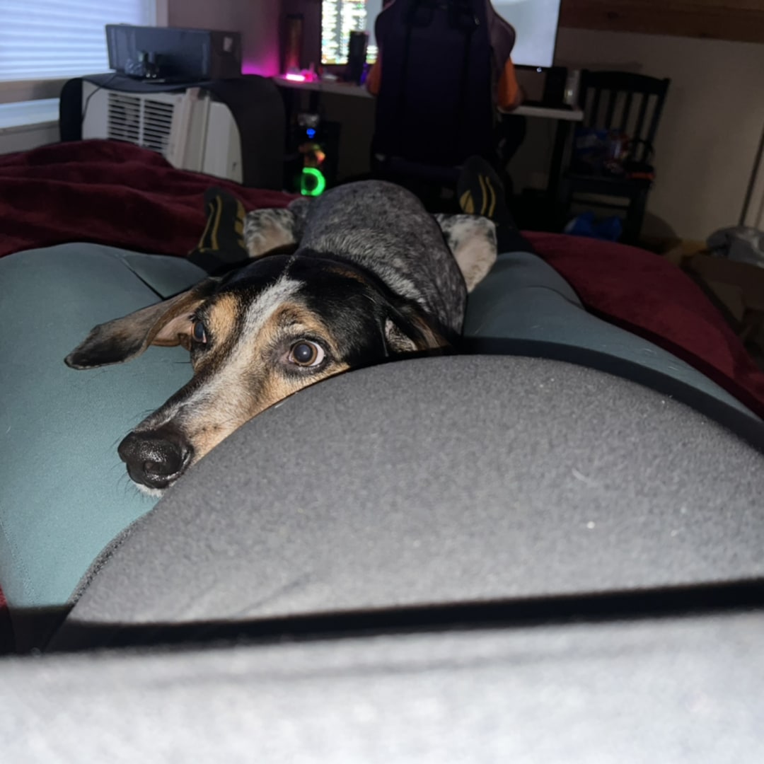 Photo shared by Skylar for their Babylist baby registry.