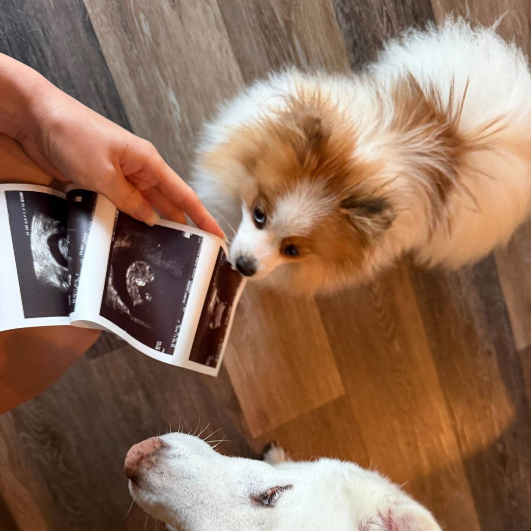 Photo shared by Candice for their Babylist baby registry.