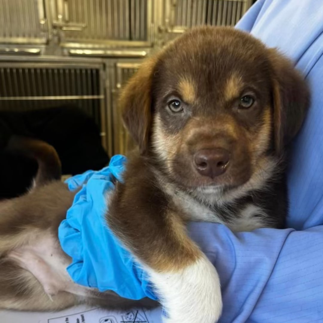 Photo shared by Catherine for their Babylist baby registry.