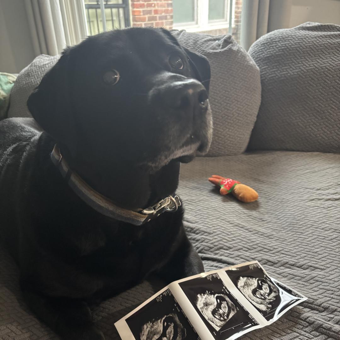 Photo shared by Heidi for their Babylist baby registry.