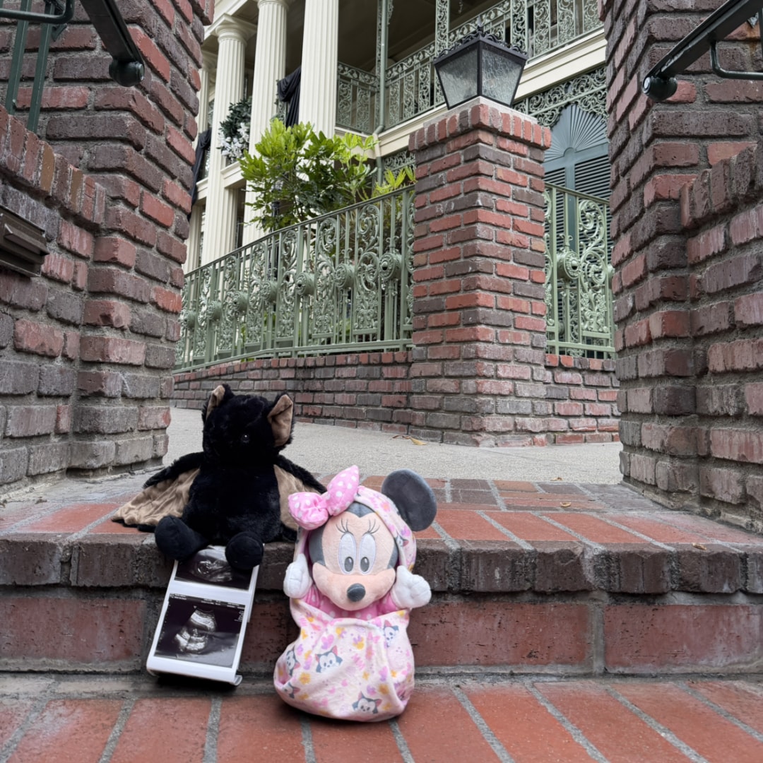 Photo shared by Sabrina for their Babylist baby registry.