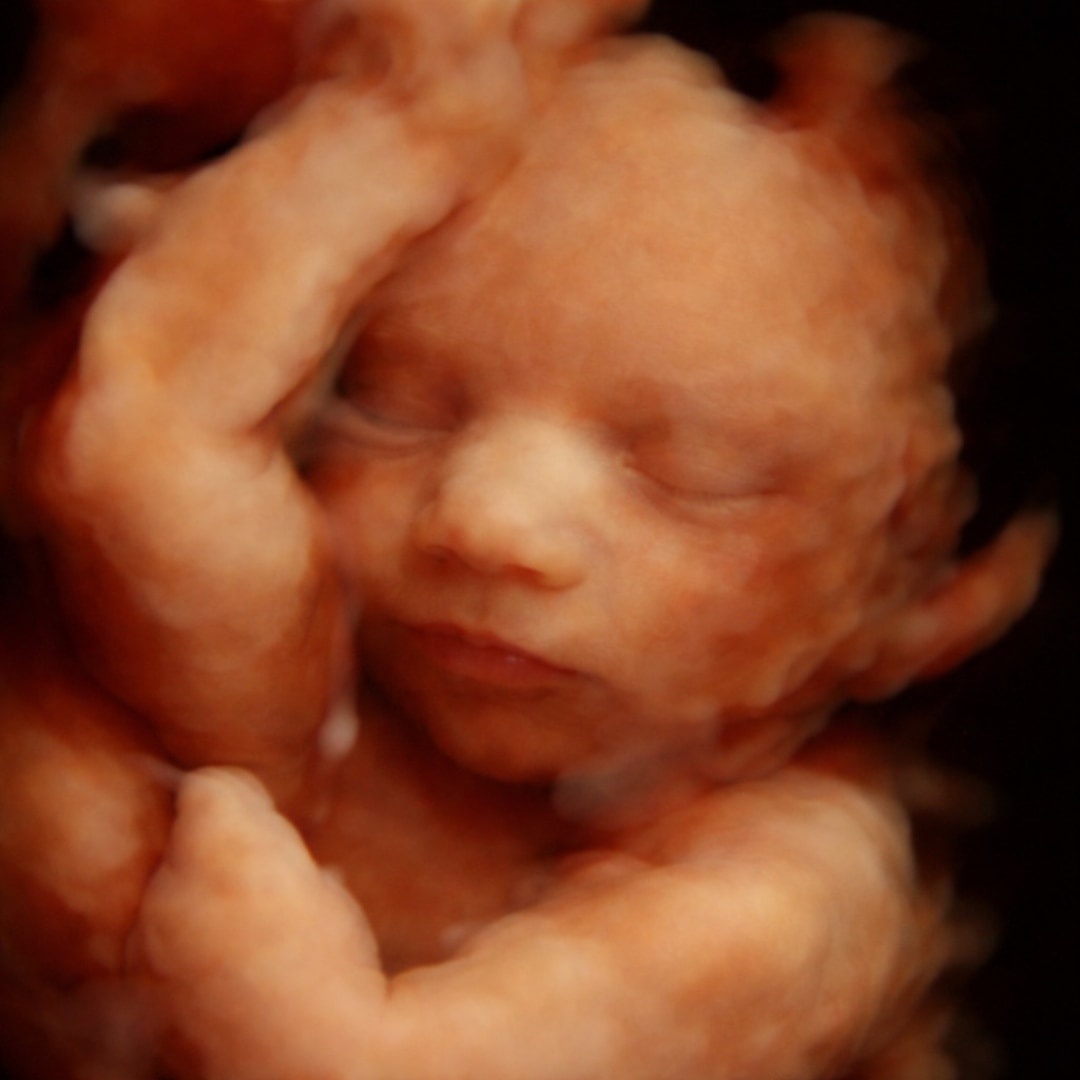 Photo shared by Caitlin for their Babylist baby registry.