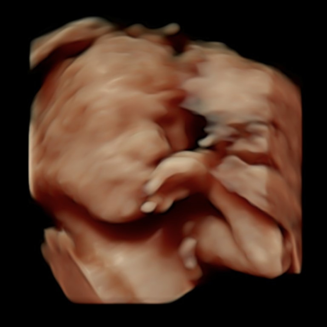 Photo shared by Avery for their Babylist baby registry.