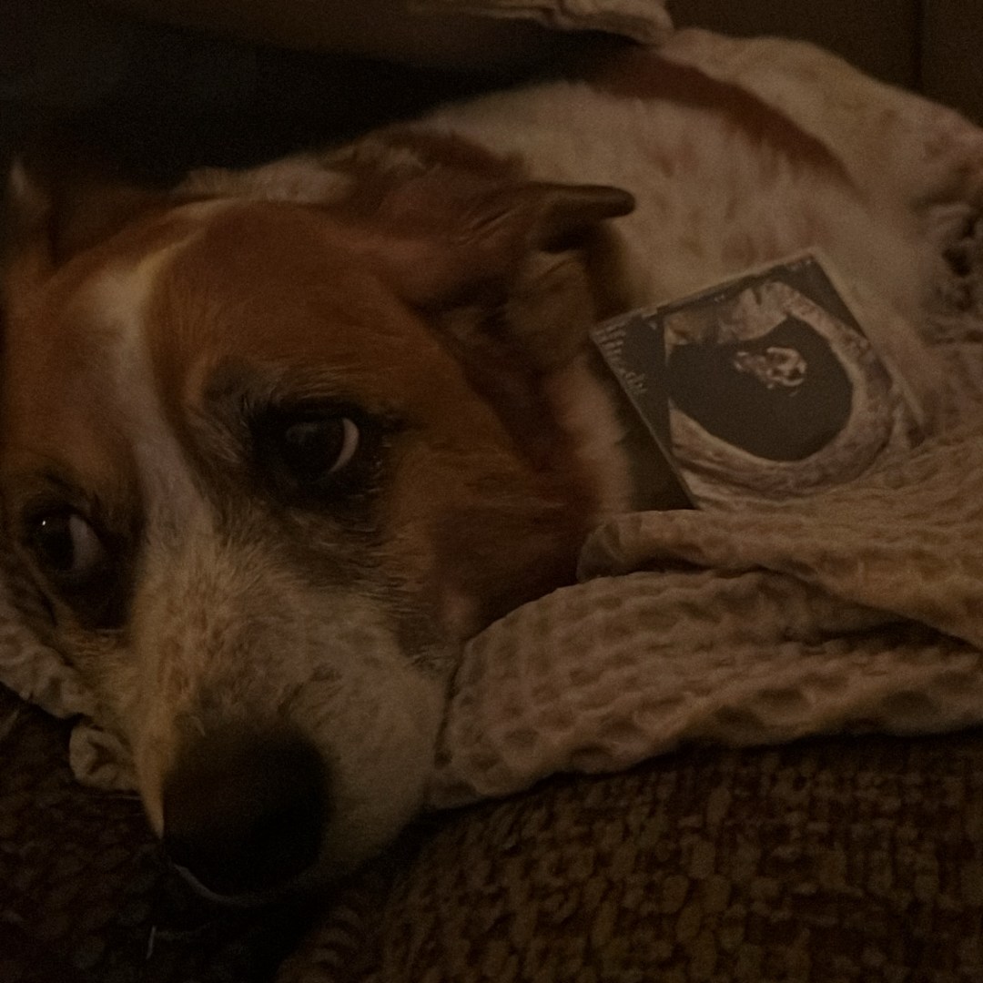 Photo shared by Brittany for their Babylist baby registry.