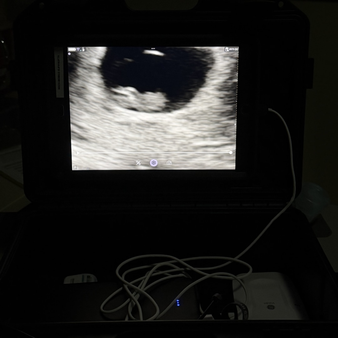 Photo shared by Rikki for their Babylist baby registry.