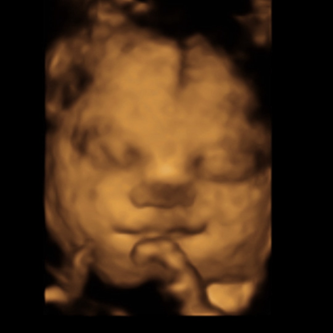 Photo shared by Roshayne for their Babylist baby registry.